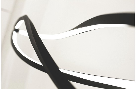 Nemo_the wind_12 copia